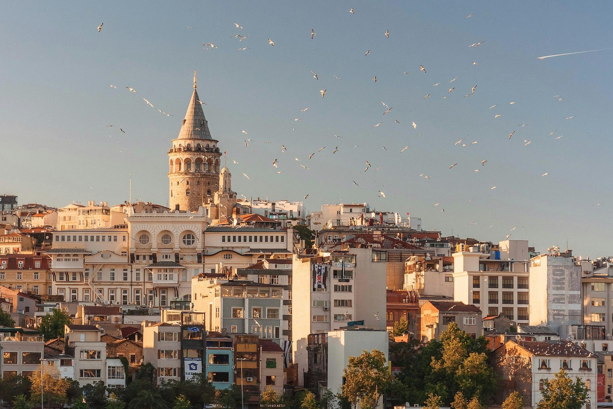 01. aşama: İlk görüşme ve dosya analizi